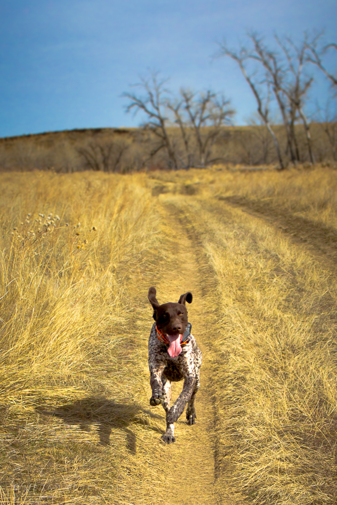 Megan_Becky_Photography_2016_02_21_WEB_001
